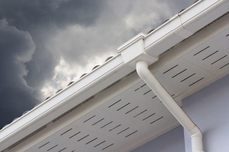 Roof and Gutter Waterproofing